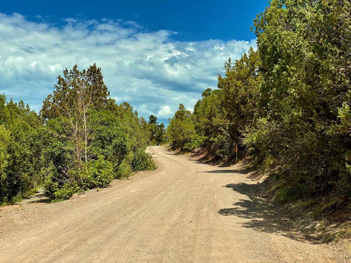 Culver Creek - County Road 14A photo 5