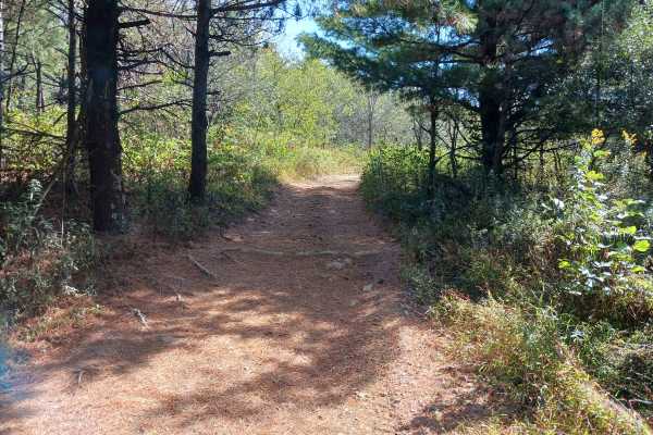 Trail 5D - Rock Run Recreation Area