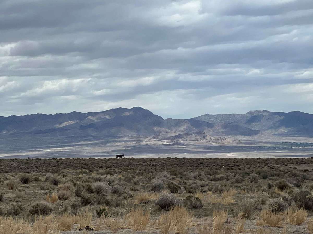 Bonneville Salt Flats to Eureka Nevada photo 4