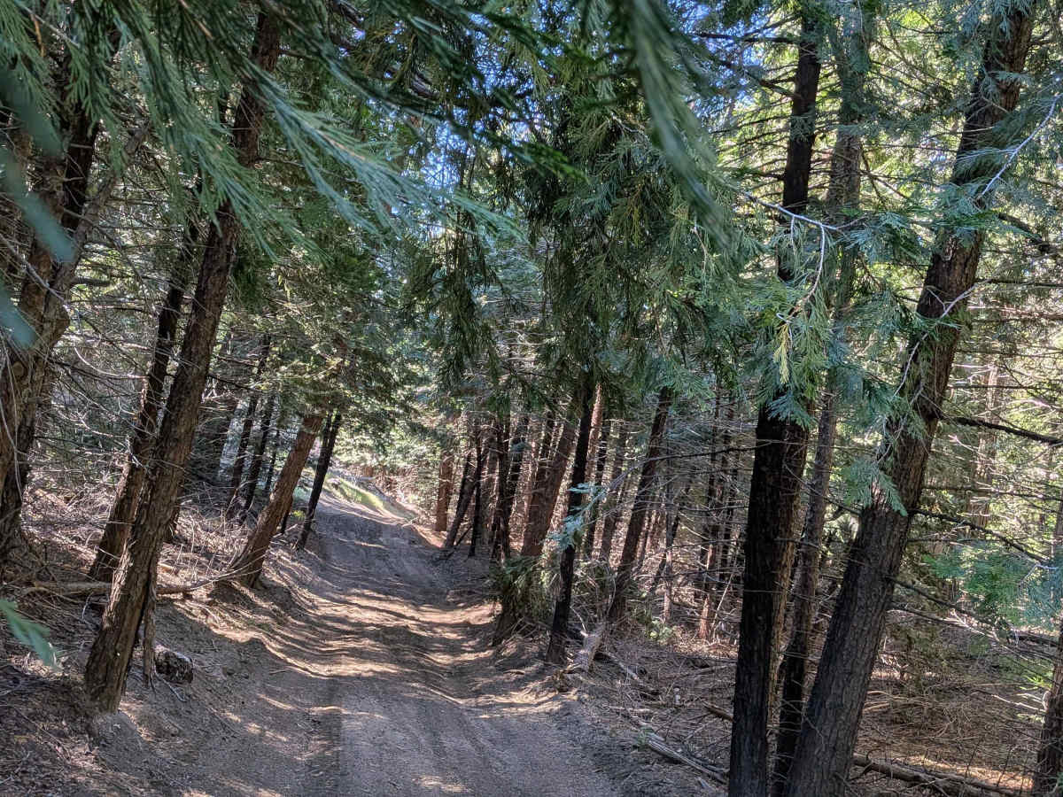 Woodward Peak - FS 32E53 photo 6