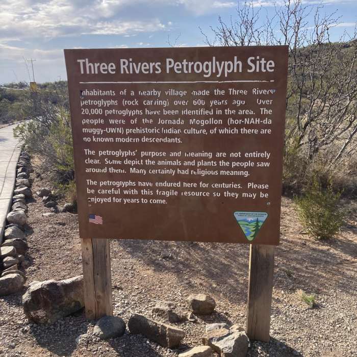 Near Petroglyph Trail