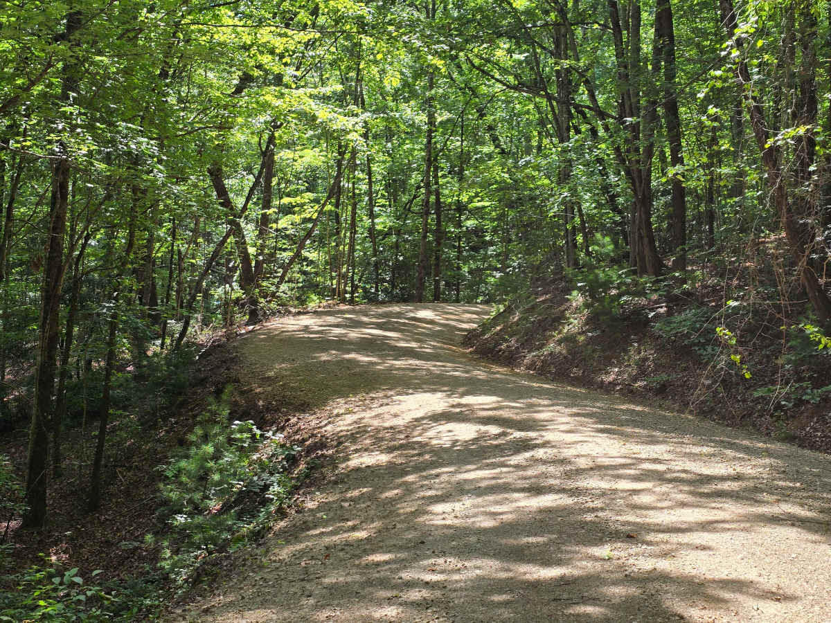 Piney Knob - FS 778 trail photo