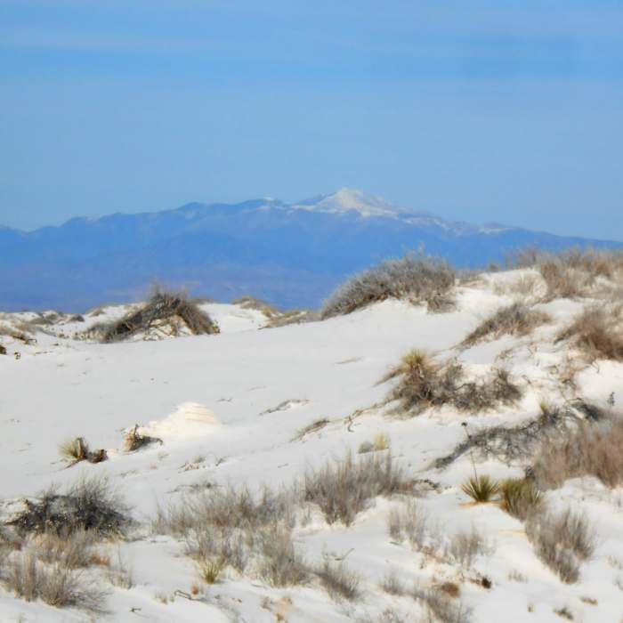 Near Interdune Boardwalk