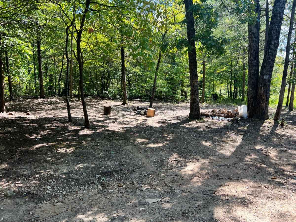 Smith Branch Trail photo 4