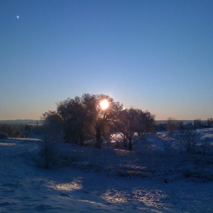 Winter Scenery in Coyote Run Open Space Near Coyote Run Open Space Trail