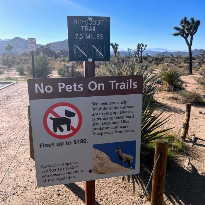 Near West Entrance to Boy Scout South