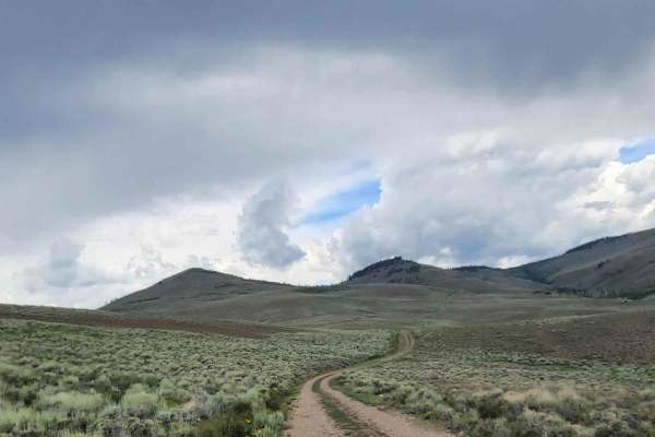 Steers Gulch Road