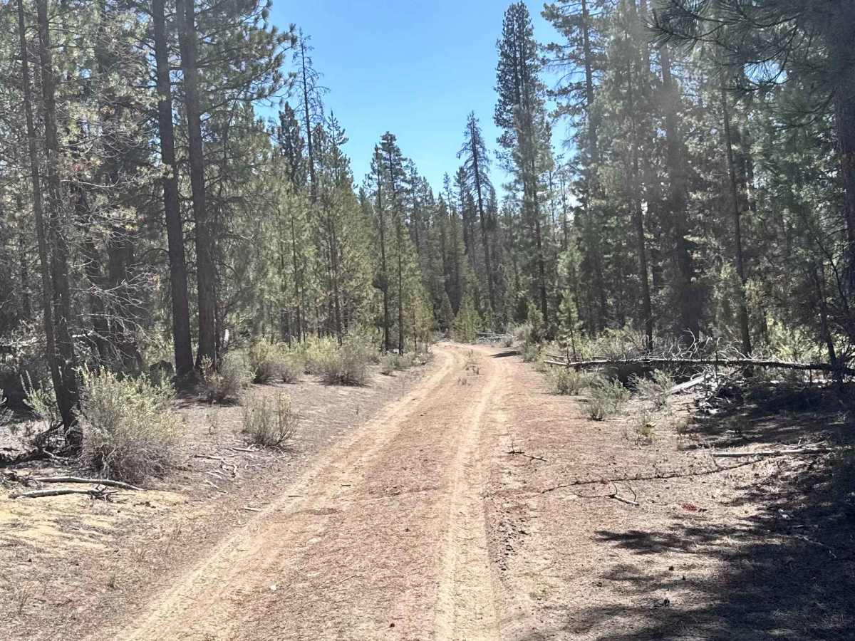 Dry Springs Trail - FS 4331000 photo 4