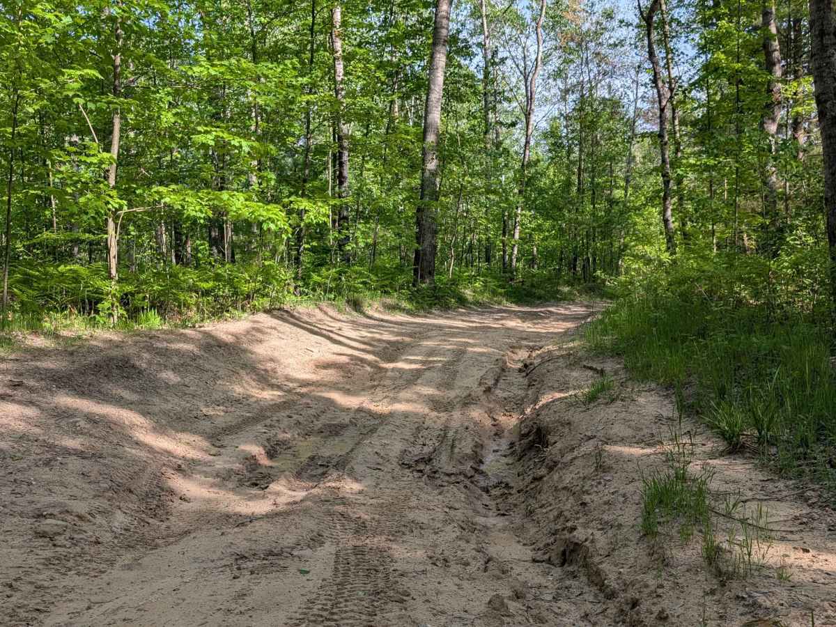 Swamp Camp Trail photo 6