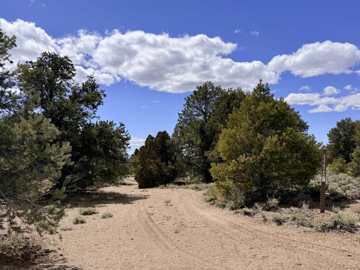 Four Mile Spring Bypass - FS 44428 photo 4