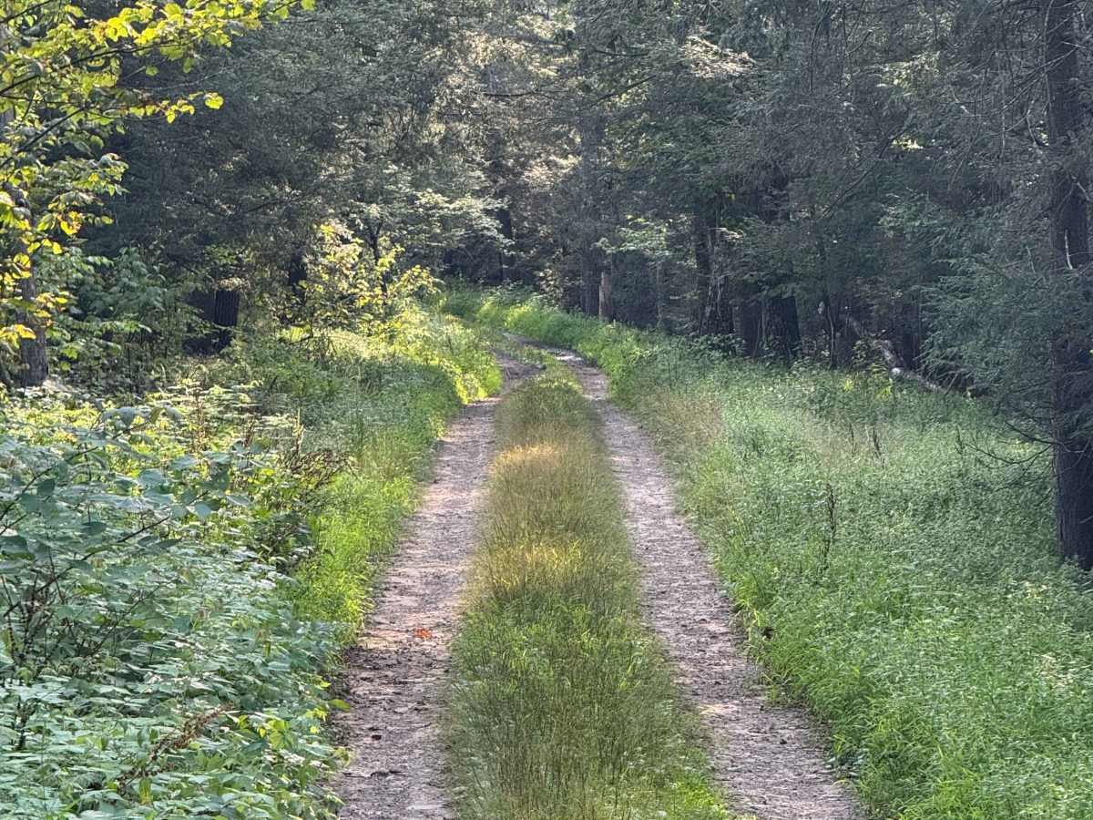 McKees Run Road photo 5