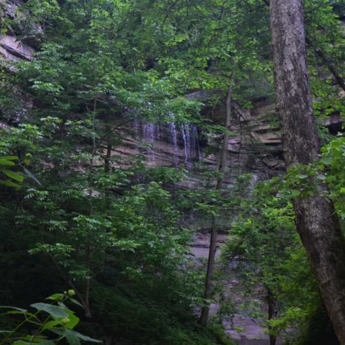 Near Clifty Falls State Park Loop
