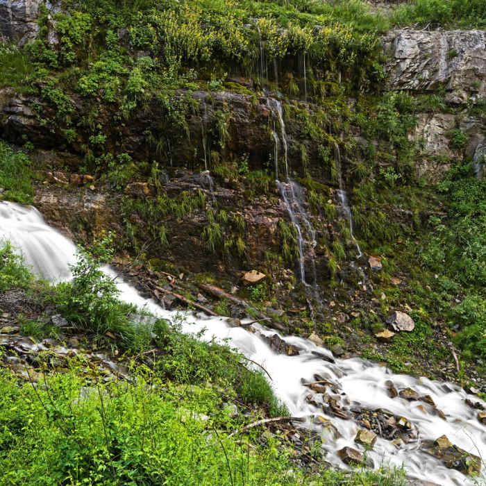 Near Lost Creek Falls Trail