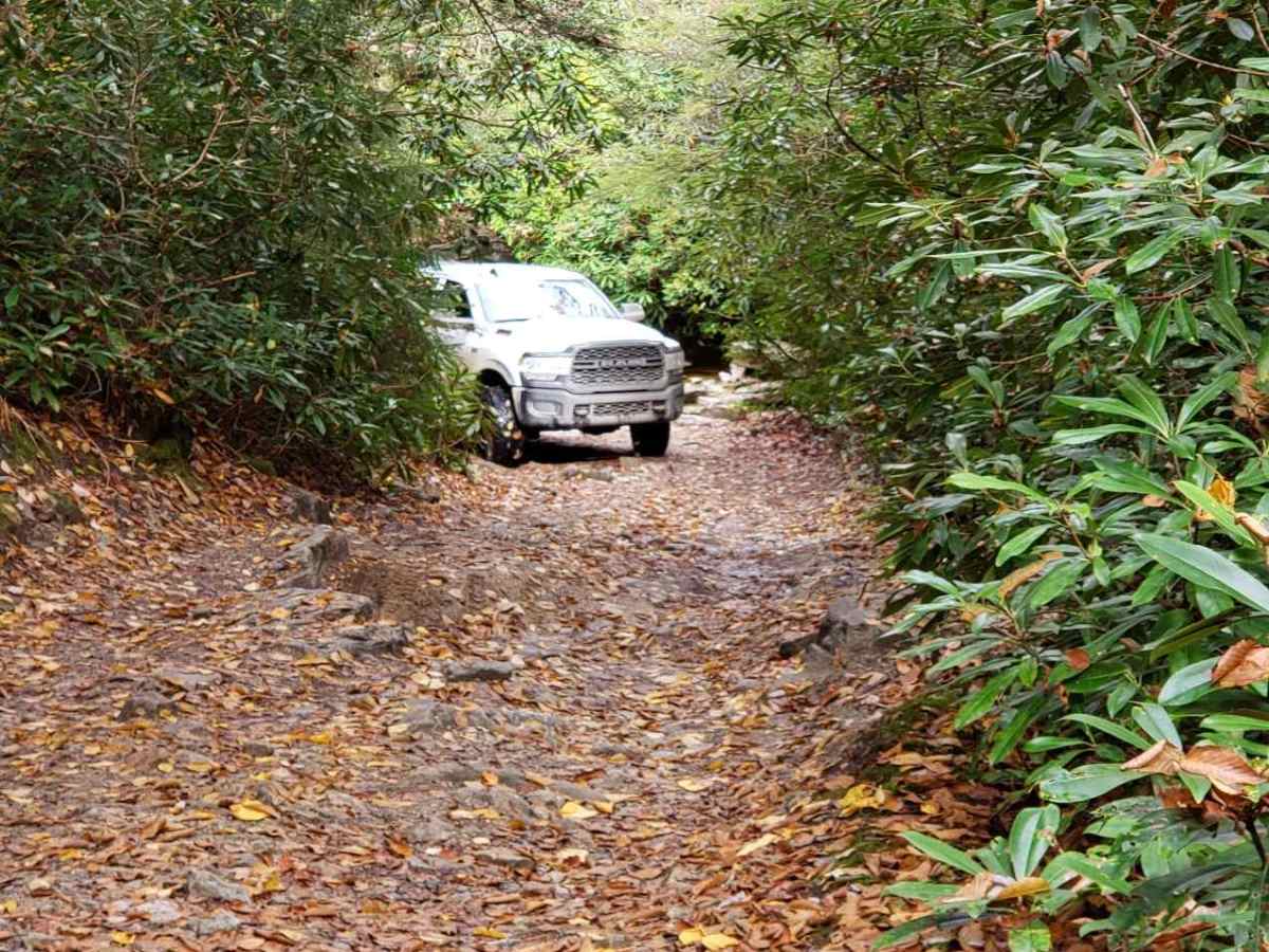 Canaan Loop photo 4