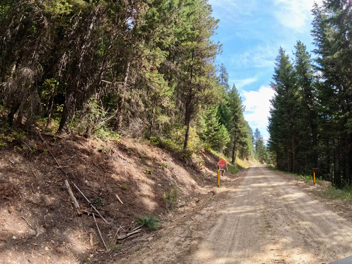 Ward Creek Trail trail photo
