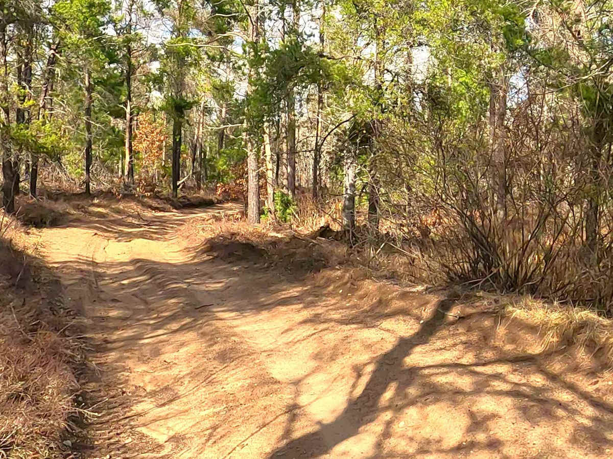 ORV H-57 : Bull Gap Hill Climb - Primary Return Loop <50" photo 5