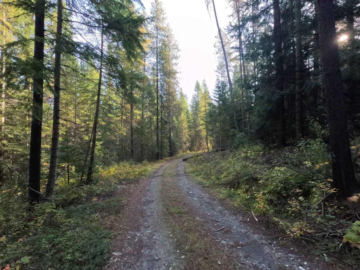 Kidney Pond Road photo 3