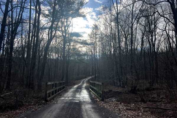 Bear Creek Road