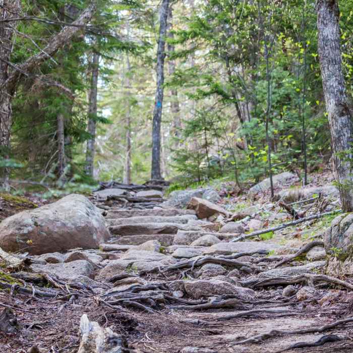 Near Cadillac Mountain South Ridge Trail Near Cadillac Mountain South Ridge Trail