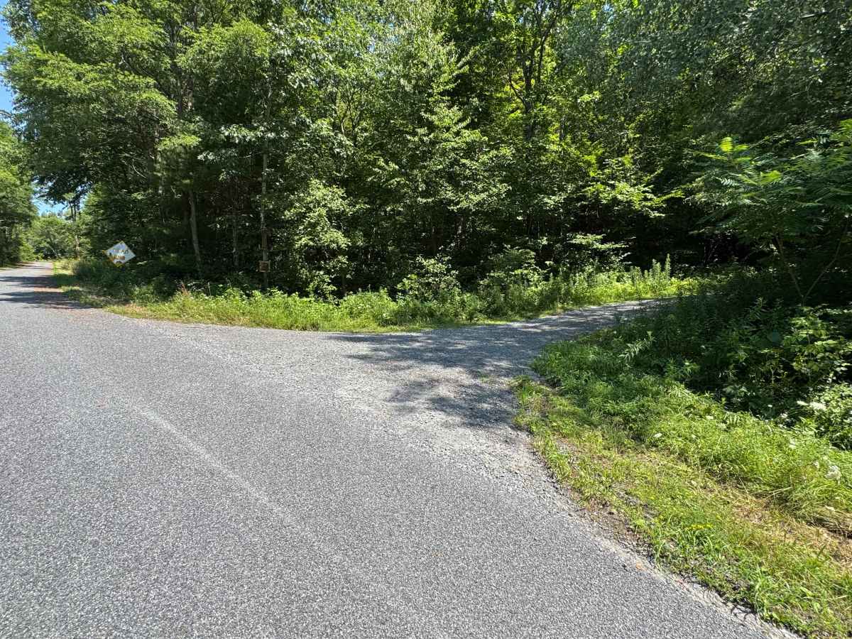 Dave Brown Mountain Road photo 2