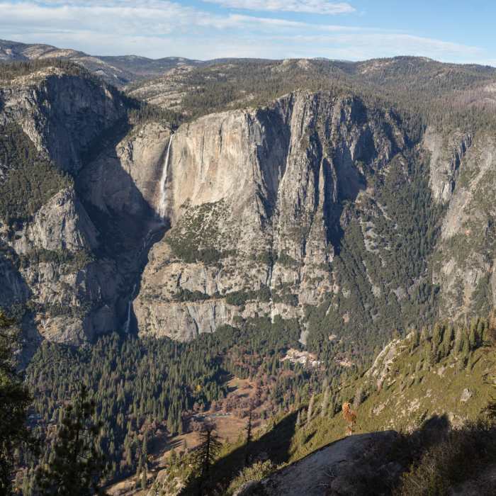 Near Roosevelt Point Trail