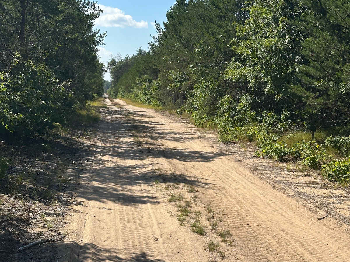 Bear Loop photo 2