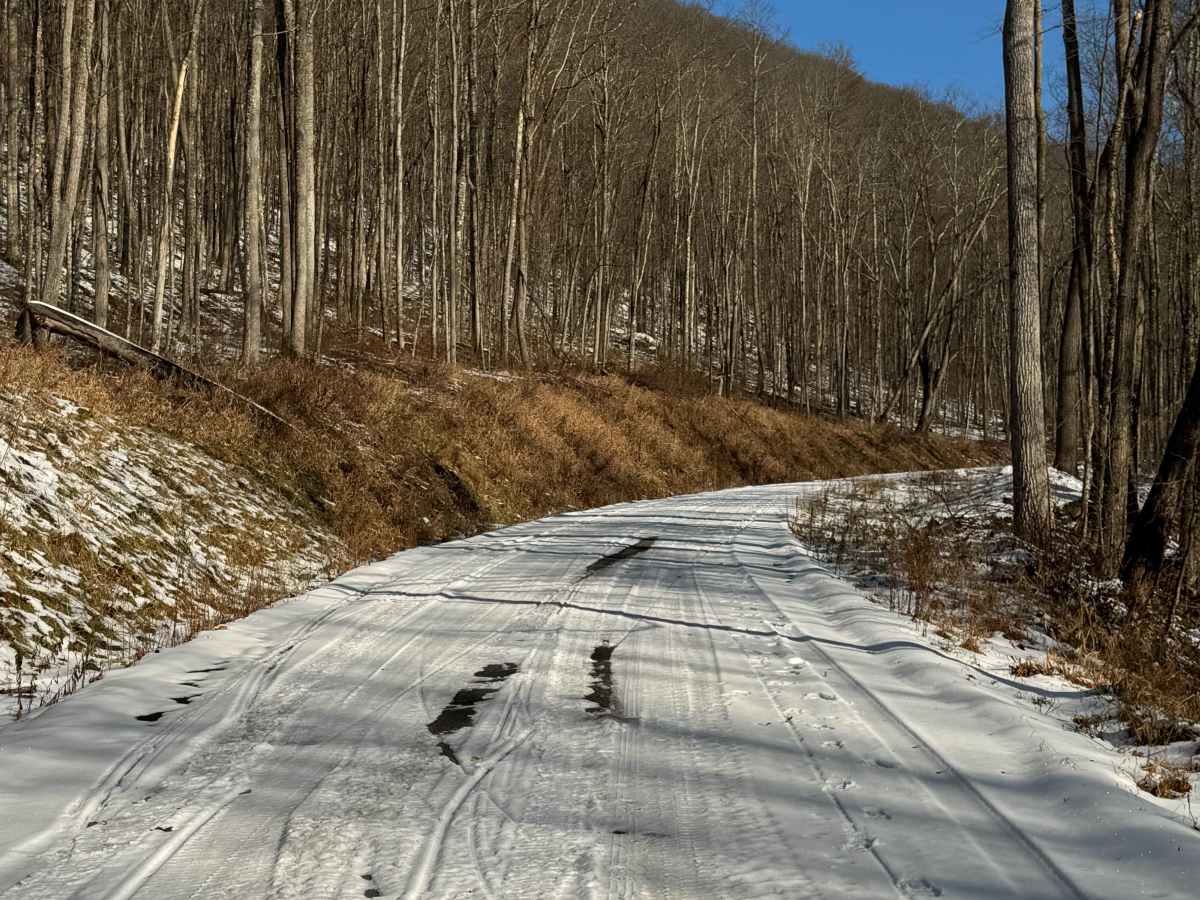 Masten Road photo 3