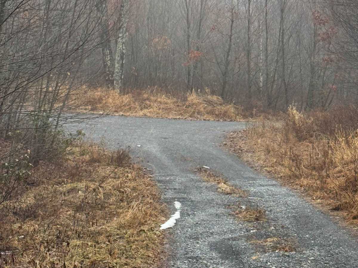 Eagleton Run Trail photo 6