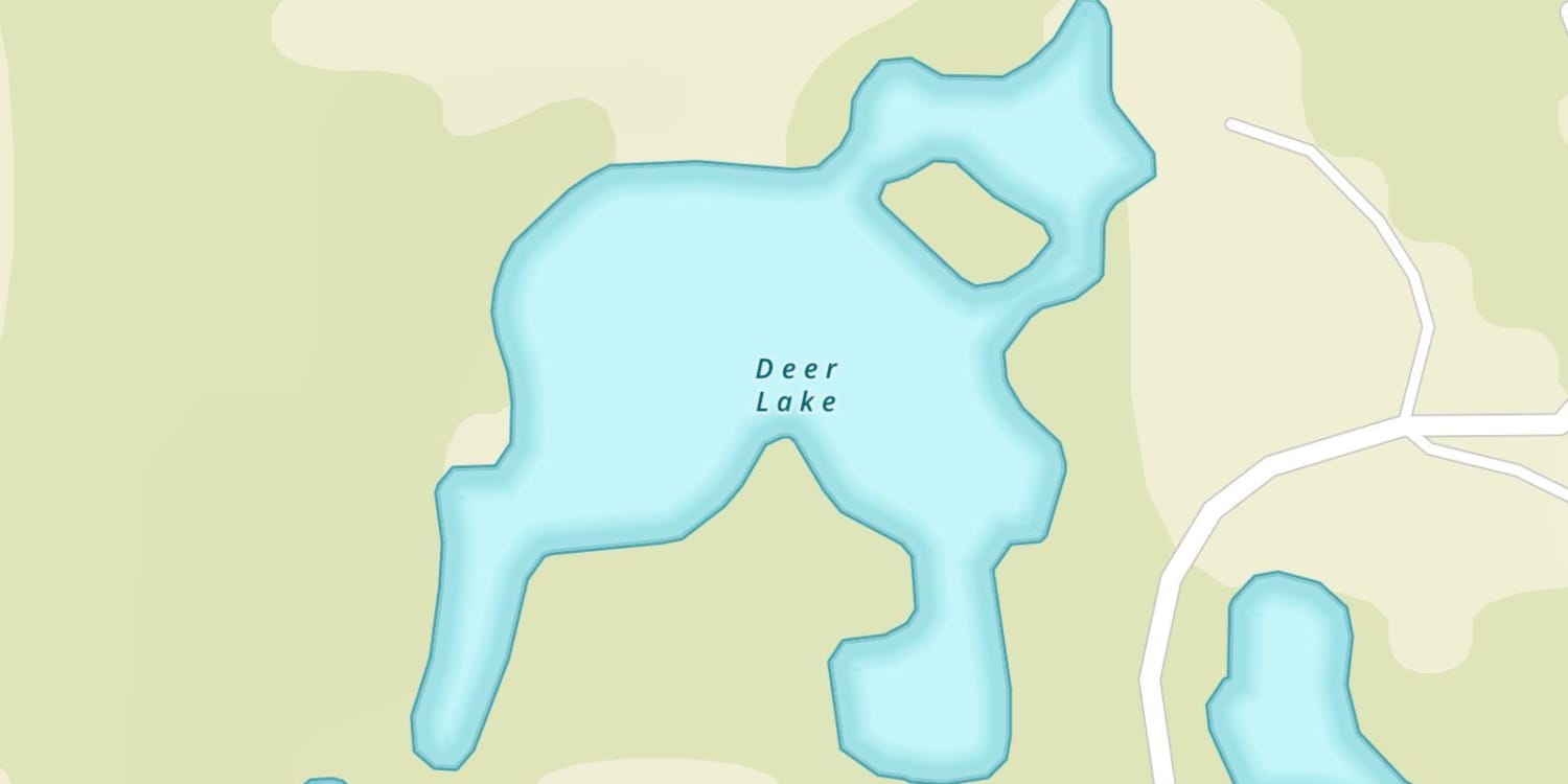 Deer Lake