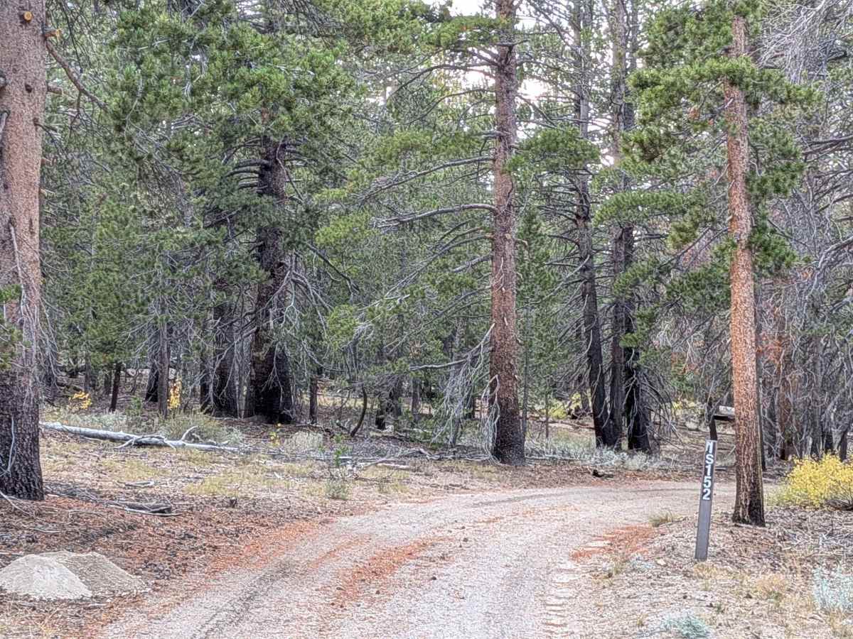 FS 1S152 trail photo