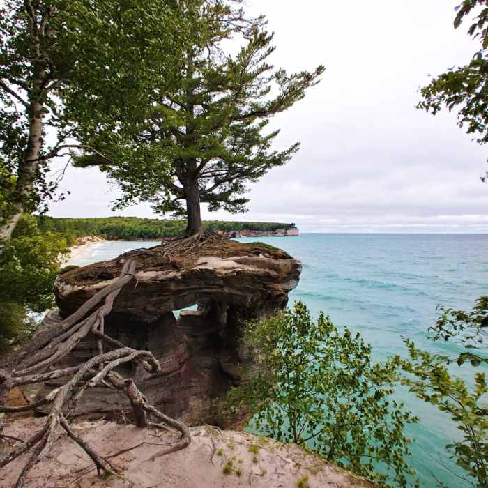 Near Chapel Loop Near Chapel Loop