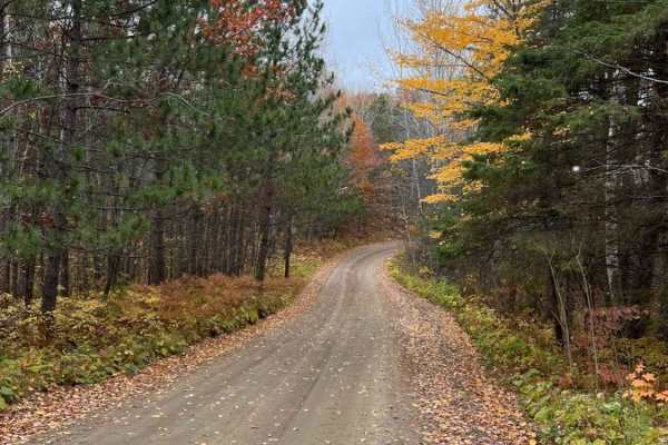 East Steamboat Lake Road