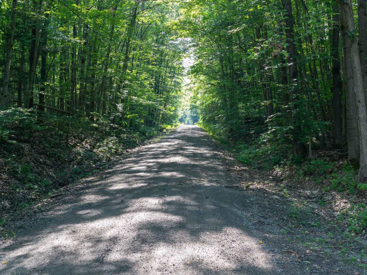 Dannack Hill Road trail photo