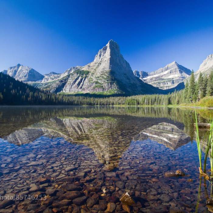 Near Many Glacier Loop