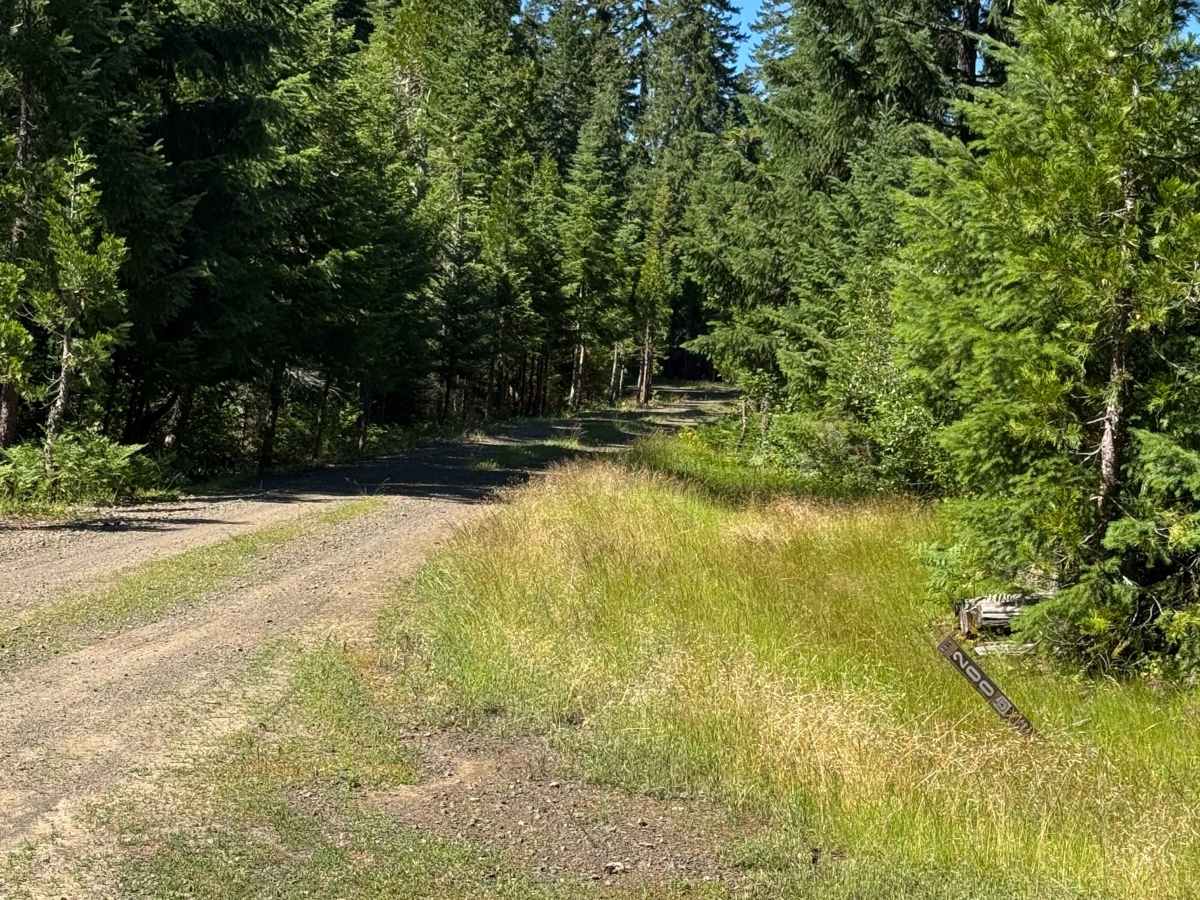 Mount Stella Lookout Trail trail photo