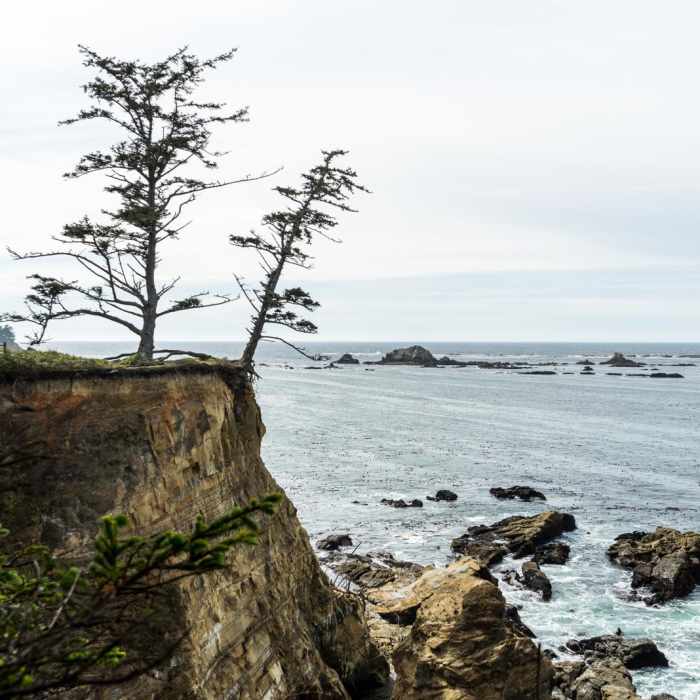 Near Shore Acres State Park to Simpson Overlook