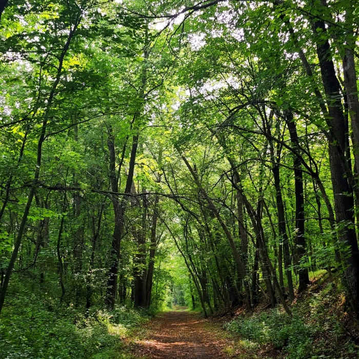 Near Lake Rebecca Dirt Loop