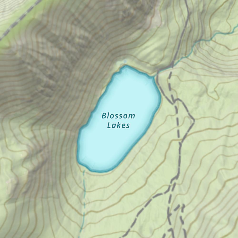Lower Blossom Lake photo