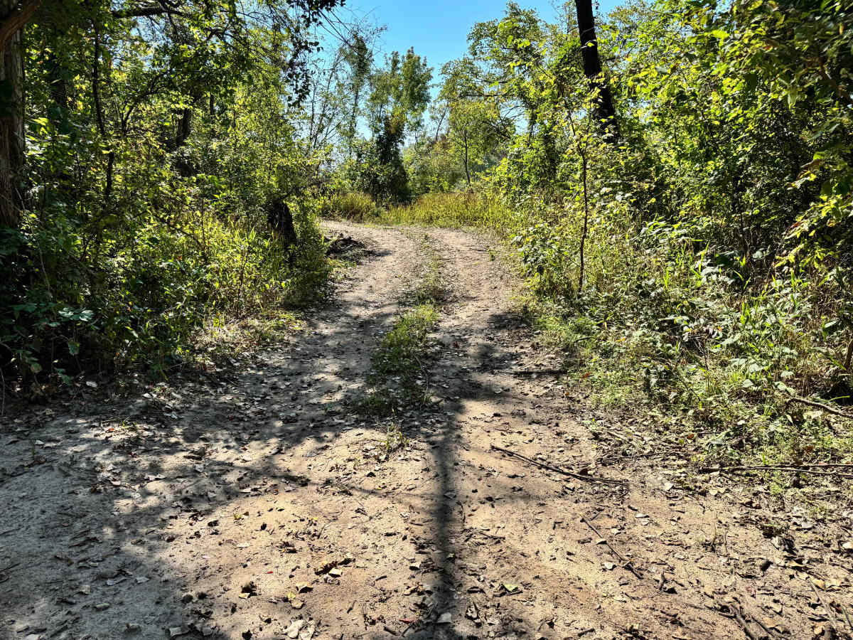 Humvee Dumpty trail photo
