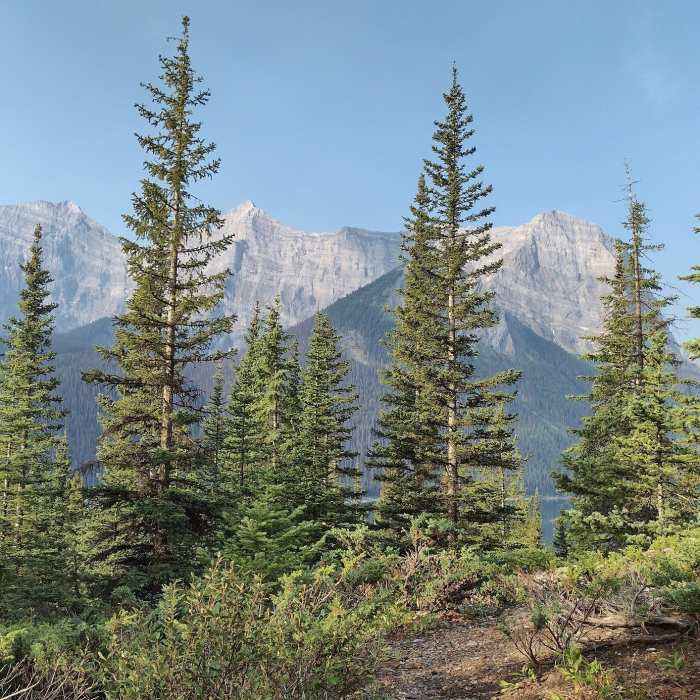 Near Canadian Mt. Everest Expedition Trail