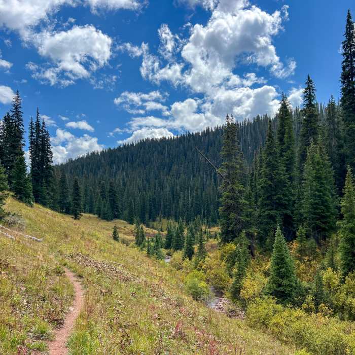 Near Deer Creek Trail