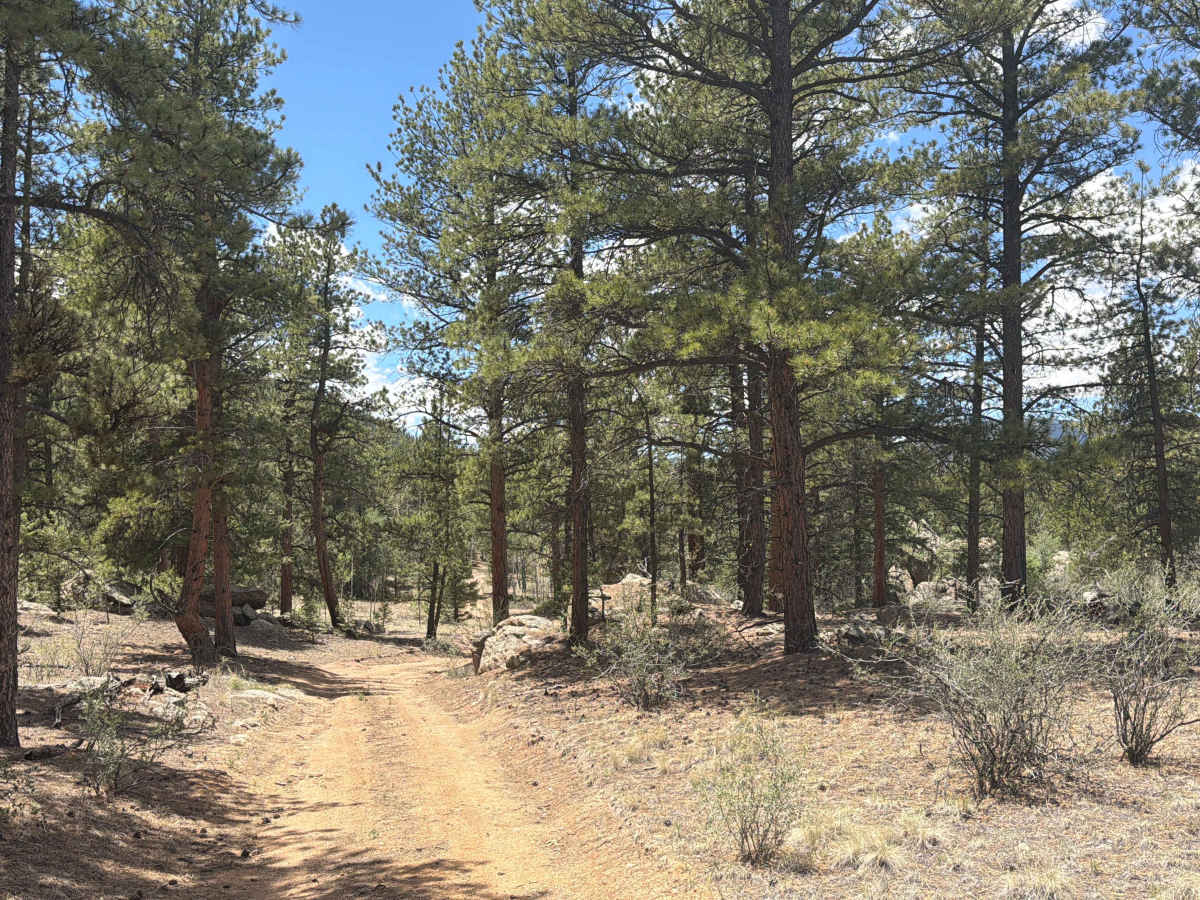 Abel Road - FSR 248 photo 6