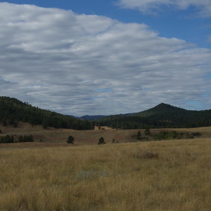 Looking out over the prairie with the Black Hills in the background. Near Lookout Point Loop