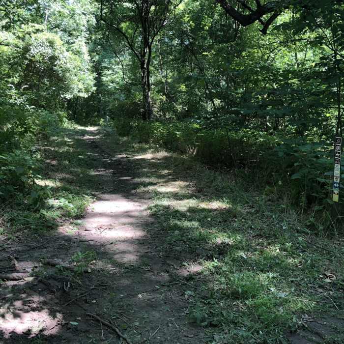 Near Outer Loop (Blue)