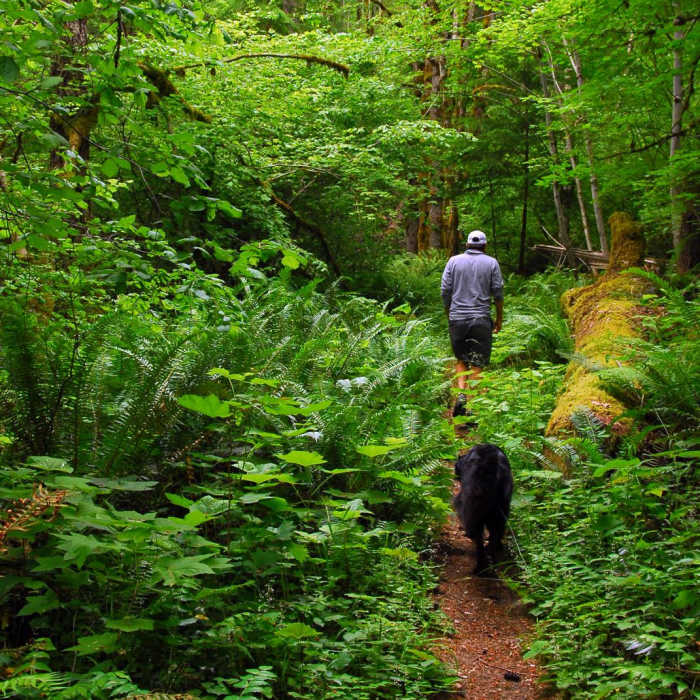 Near Camp Creek Falls Hike