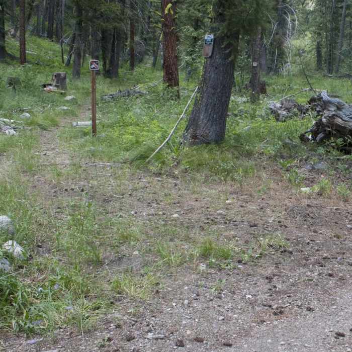 Near China Basin to Joe Daley Creek