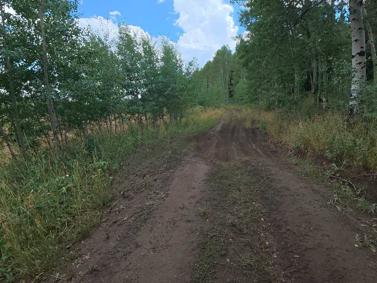 Middle Rifle Road - FS 837 trail photo