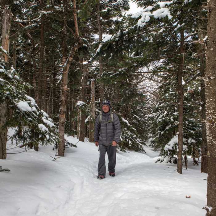 Near Burroughs Range Trail (Wittenburg Cornell Slide Trail)
