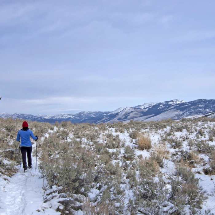 Near Beaver Ponds Loop