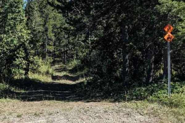 Porcupine Hills Trail 46